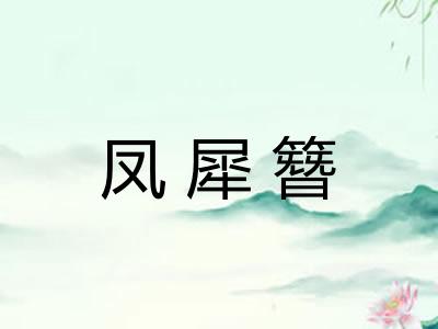 凤犀簪