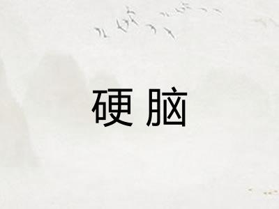 硬脑