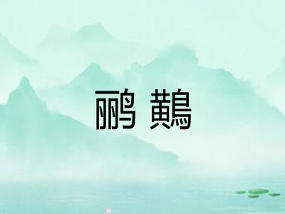 鹂鷬