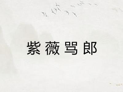 紫薇骂郎