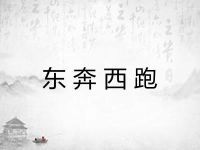 东奔西跑