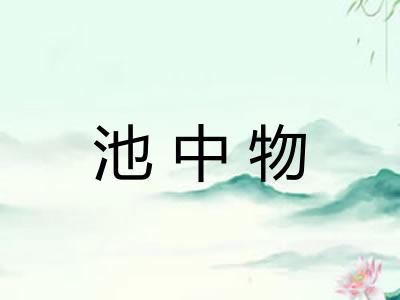 池中物
