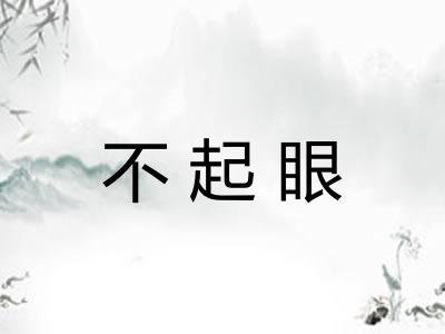 不起眼 不起眼