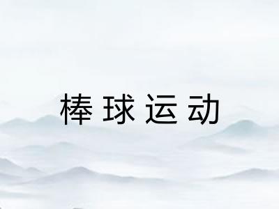 棒球运动