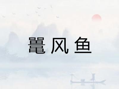 鼍风鱼