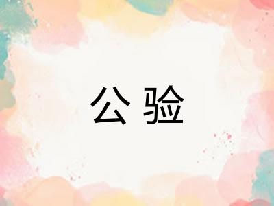 公验