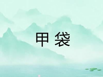 甲袋