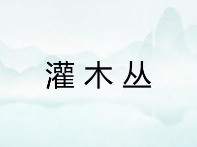 灌木丛