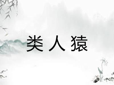 类人猿