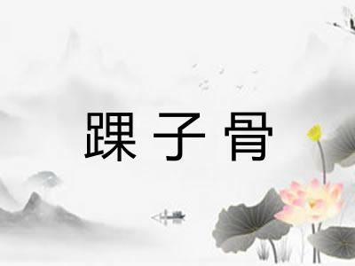 踝子骨
