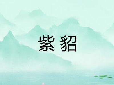 紫貂