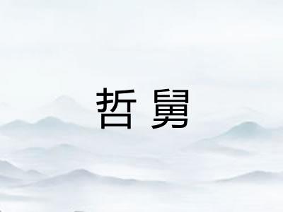 哲舅