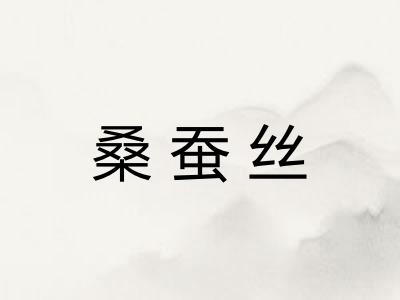 桑蚕丝