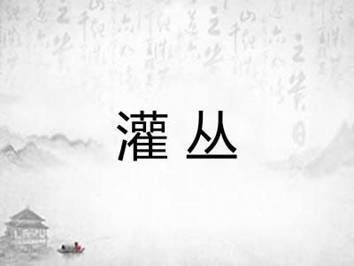 灌丛