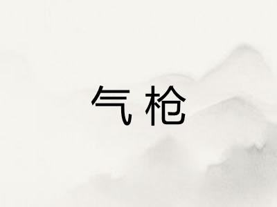 气枪