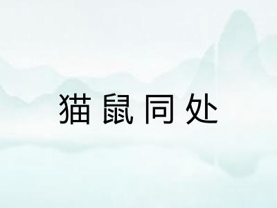 猫鼠同处