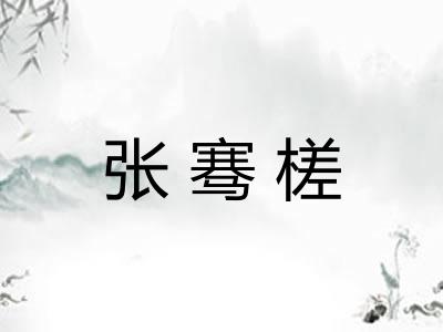 张骞槎