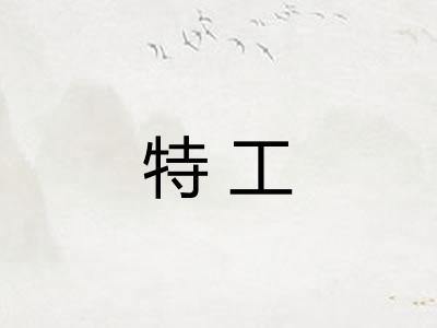 特工