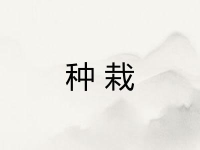 种栽
