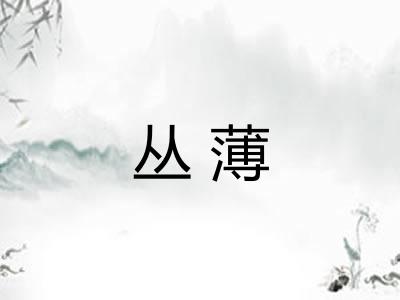 丛薄