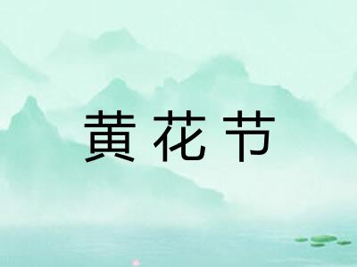黄花节