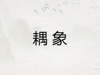 耦象