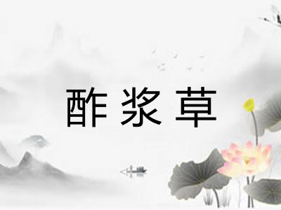 酢浆草