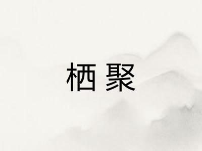 栖聚