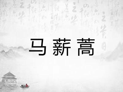 马薪蒿