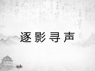 逐影寻声