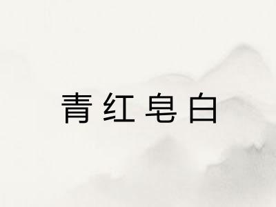 青红皂白