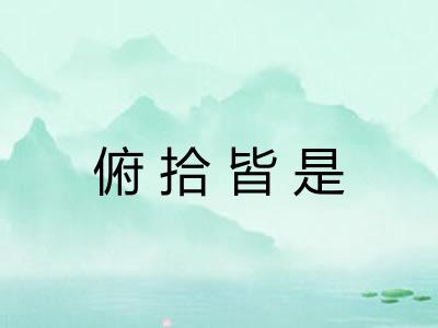 俯拾皆是