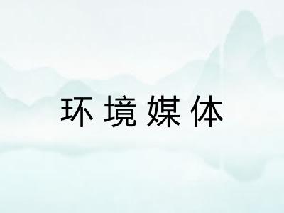 环境媒体