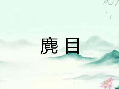麂目