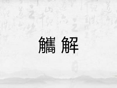 觿解