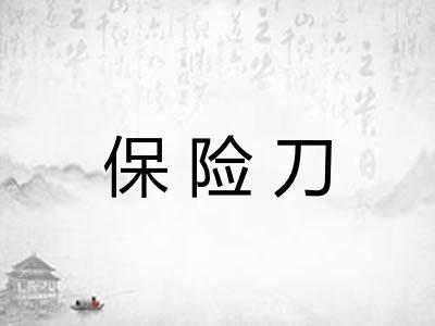 保险刀