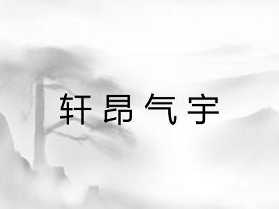 轩昂气宇 轩昂气宇