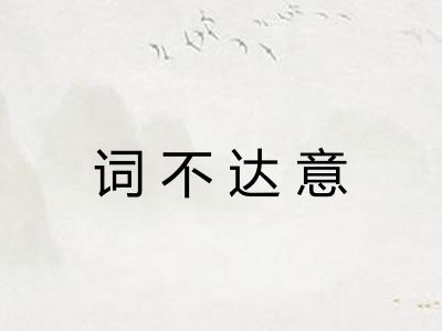 词不达意