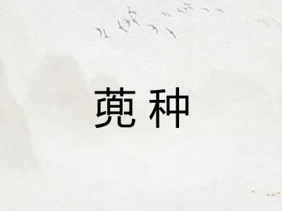 蔸种