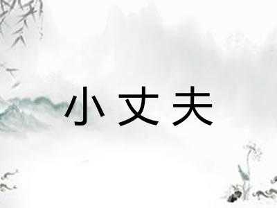 小丈夫