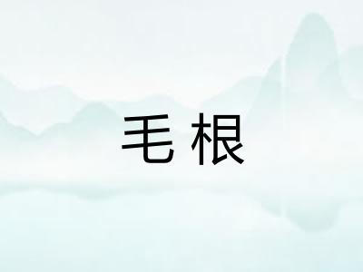 毛根