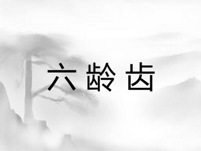 六龄齿