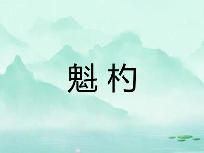 魁杓
