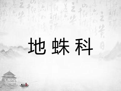地蛛科