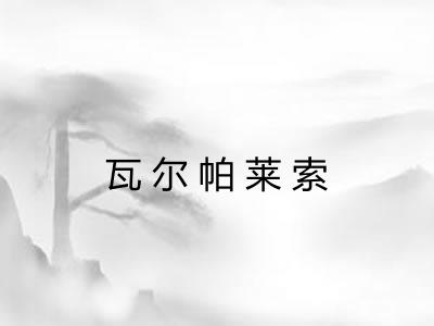 瓦尔帕莱索