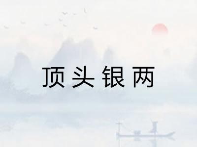 顶头银两