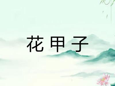 花甲子 花甲子
