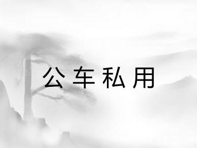 公车私用