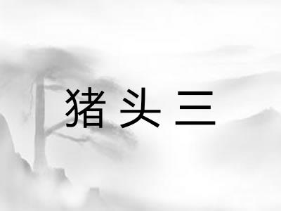 猪头三
