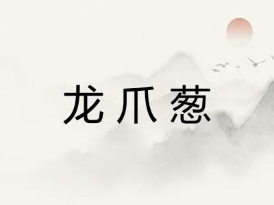 龙爪葱
